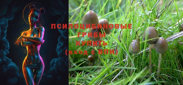 шишки Алзамай