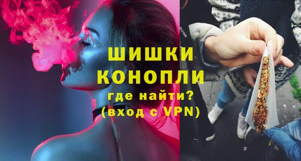 шишки Алзамай