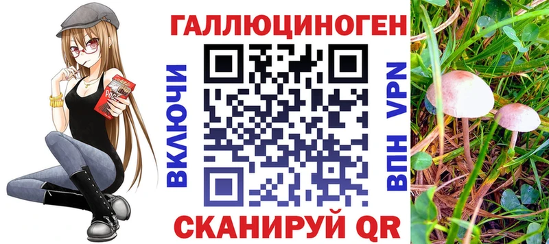 купить   Ахтырский  Галлюциногенные грибы прущие грибы 